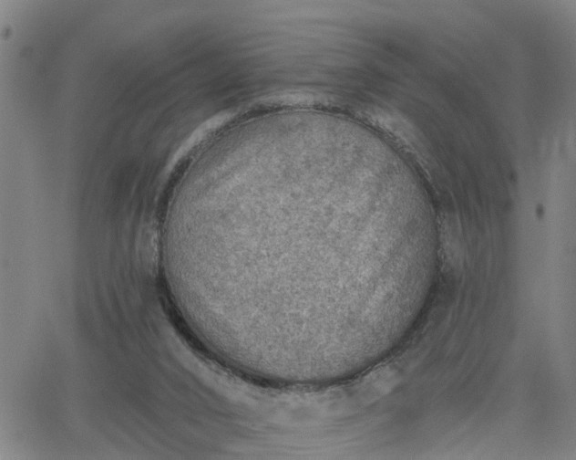 X0000063450016200601271550