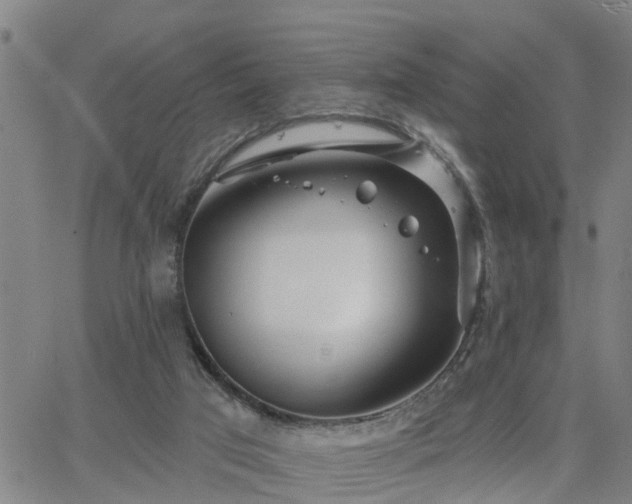 X0000063450017200601271550