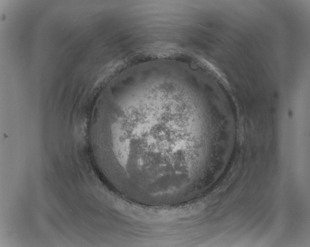 X0000063450018200601271550