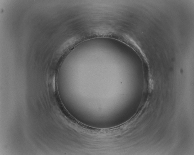 X0000063450019200601271550