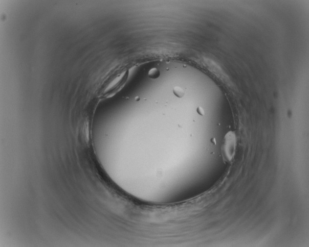 X0000063450021200601271550