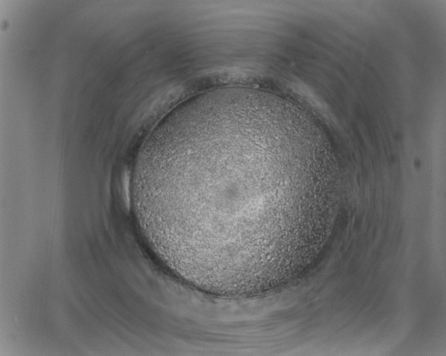 X0000063450022200601271550