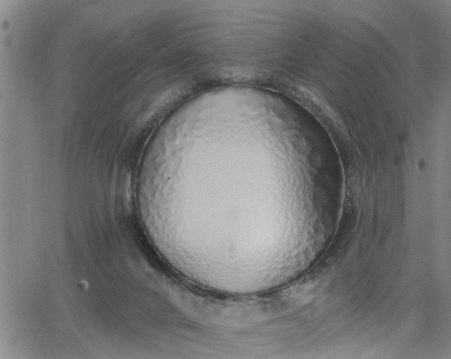 X0000063450024200601271550