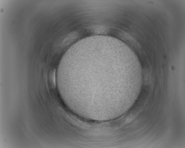 X0000063450028200601271550