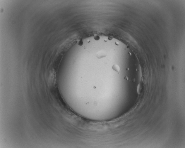 X0000063450029200601271550