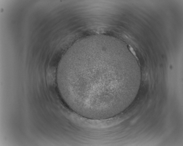 X0000063450030200601271550