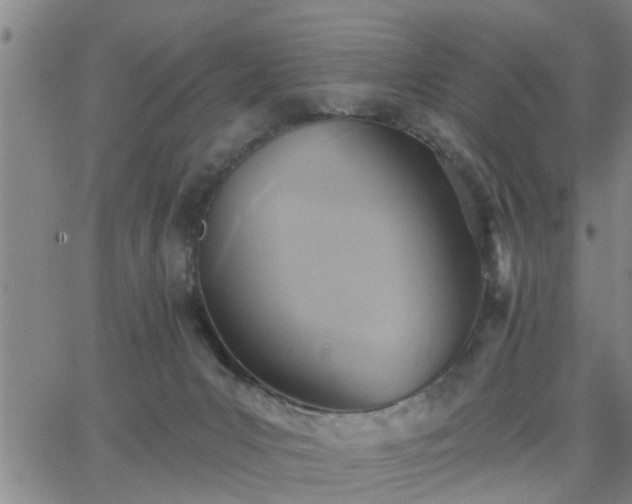 X0000063450031200601271550