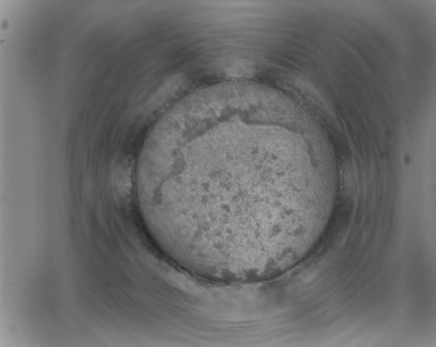 X0000063450032200601271550