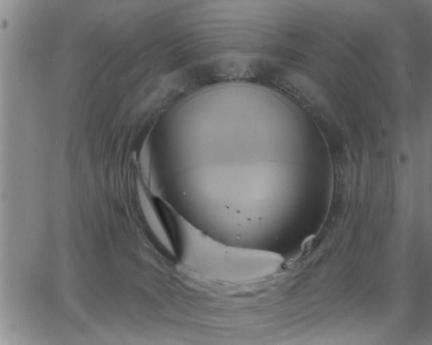 X0000063450035200601271550