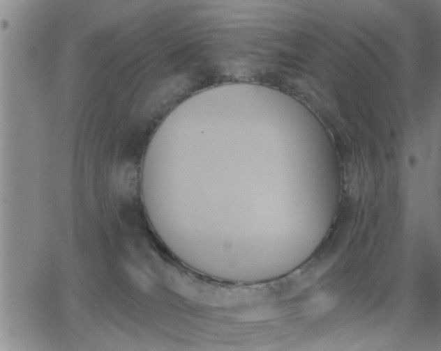 X0000063450036200601271550