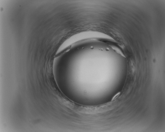 X0000063450037200601271550