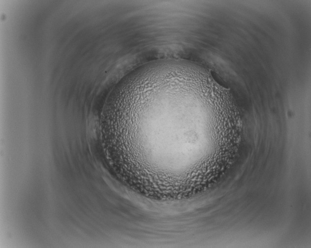 X0000063450038200601271550