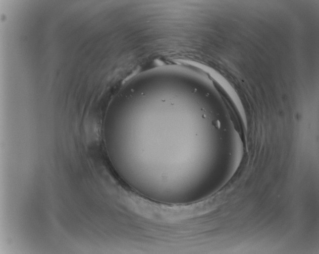 X0000063450039200601271550