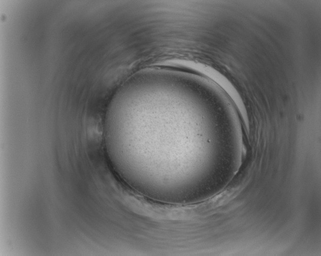 X0000063450040200601271550