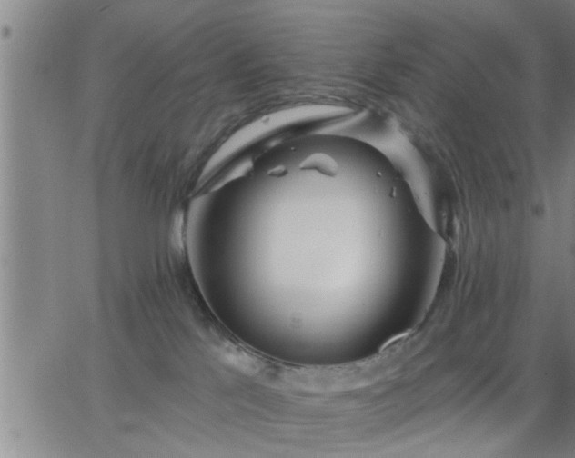 X0000063450041200601271550