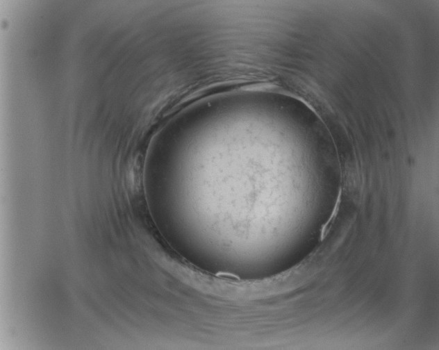 X0000063450043200601271550