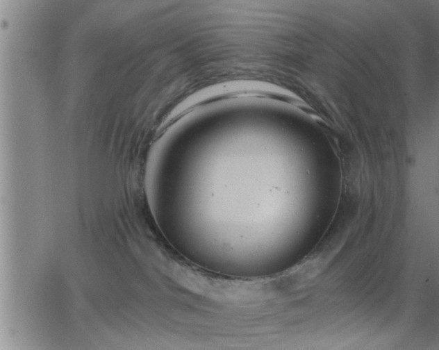 X0000063450044200601271550