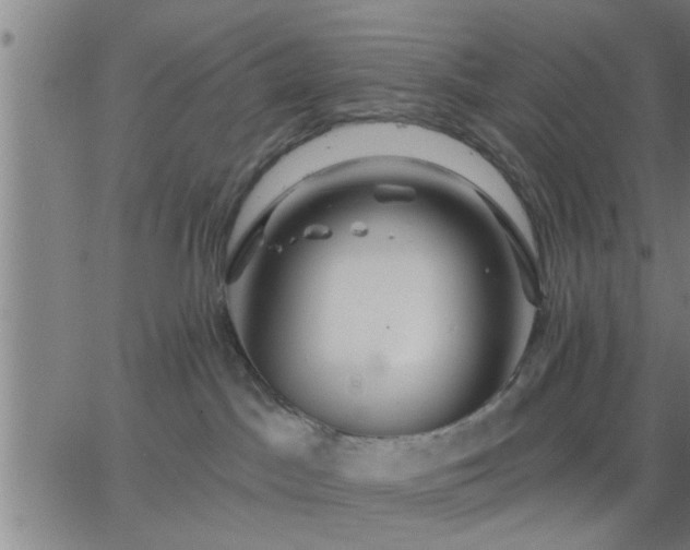 X0000063450045200601271550