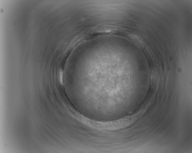 X0000063450046200601271550