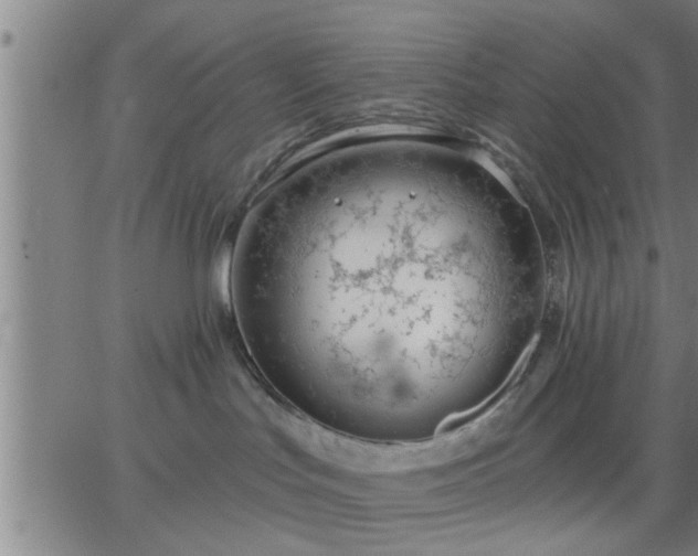 X0000063450047200601271550