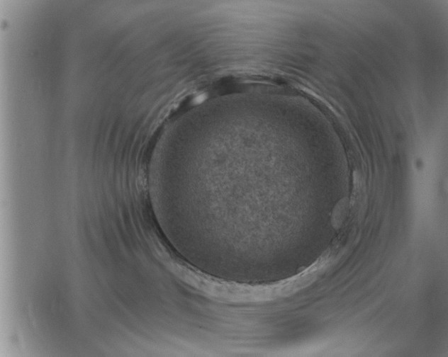 X0000063450048200601271550