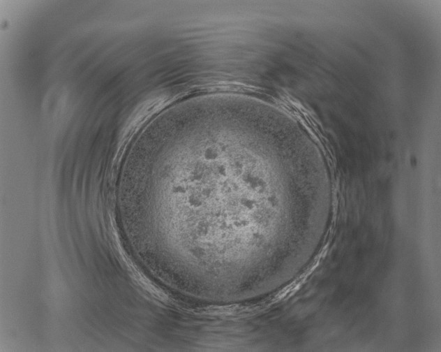 X0000063450049200601271549