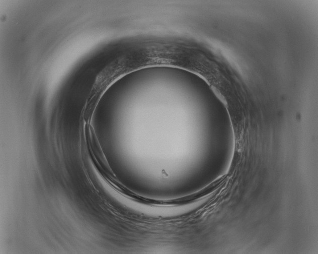 X0000063450052200601271549