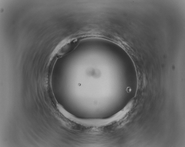 X0000063450056200601271549