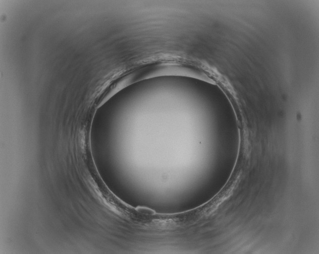 X0000063450057200601271549