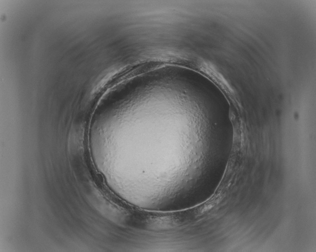 X0000063450058200601271549