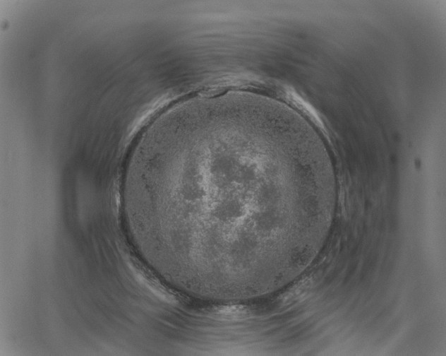 X0000063450059200601271549