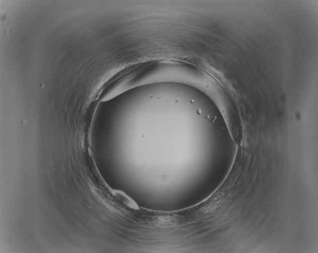 X0000063450060200601271549