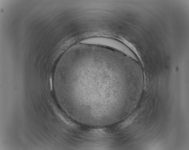 X0000063450061200601271549