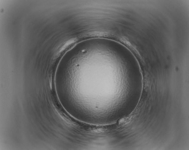 X0000063450062200601271549