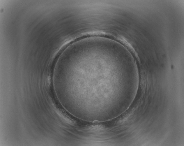 X0000063450063200601271549