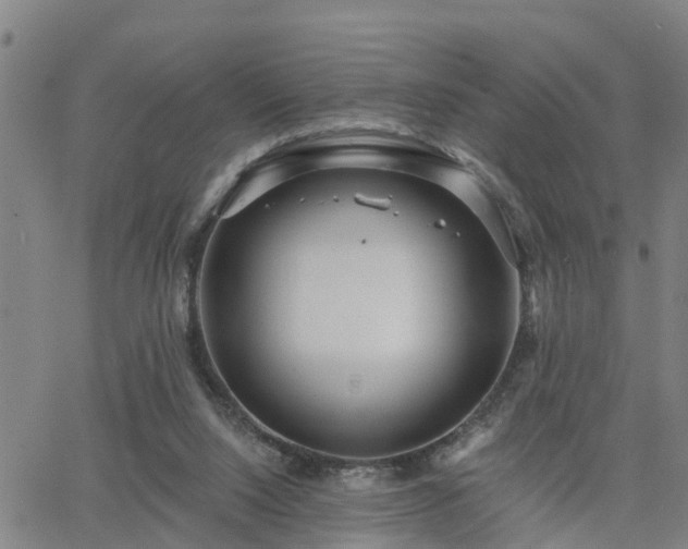 X0000063450064200601271549