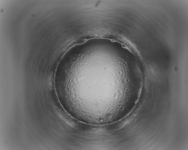 X0000063450065200601271549