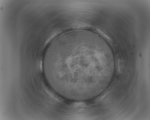 X0000063450067200601271549