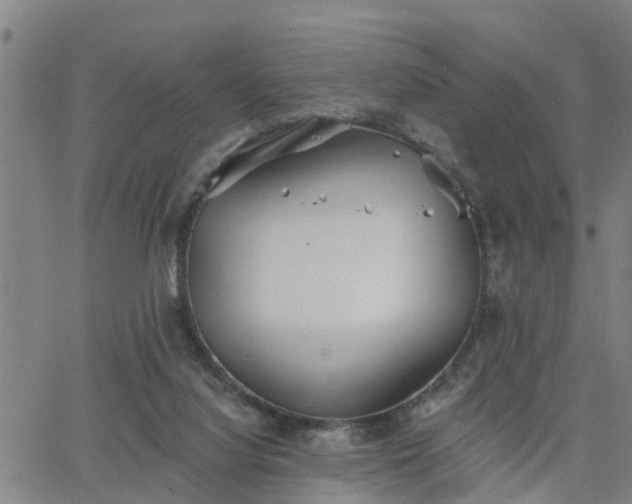 X0000063450068200601271549