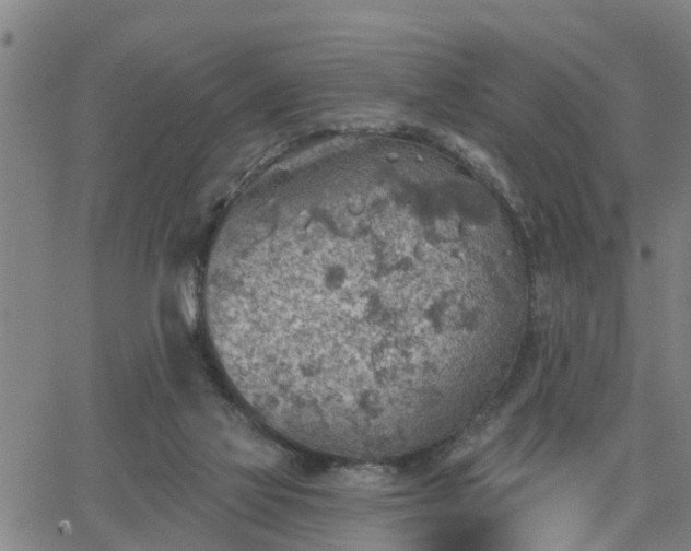 X0000063450069200601271549