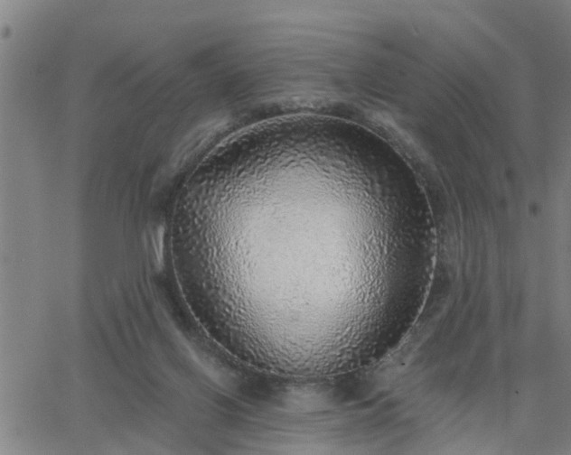 X0000063450070200601271549