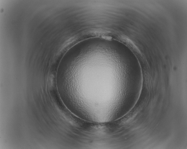 X0000063450071200601271549