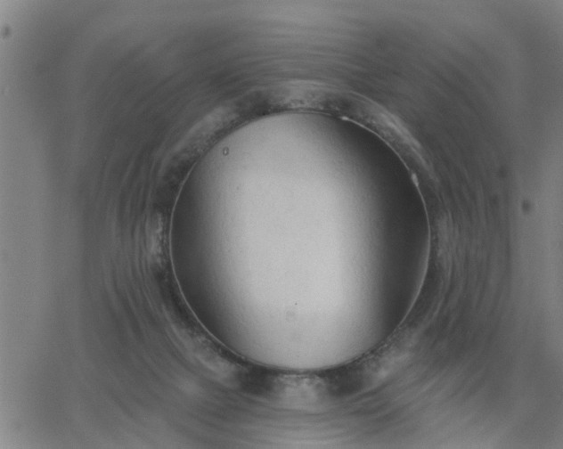 X0000063450073200601271549