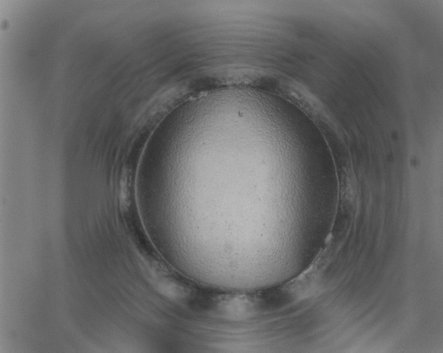 X0000063450074200601271549