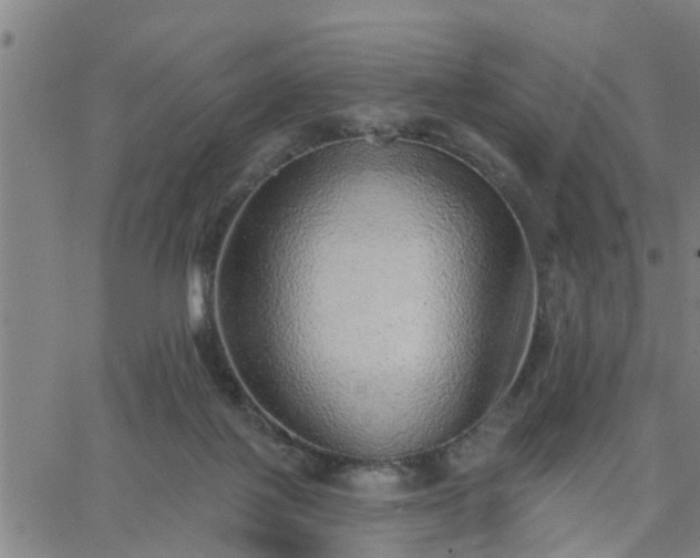 X0000063450075200601271549