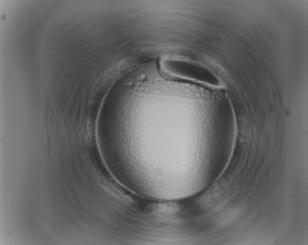 X0000063450077200601271550