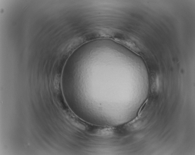 X0000063450078200601271550