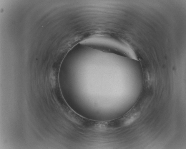 X0000063450080200601271550