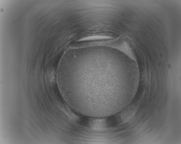 X0000063450081200601271550