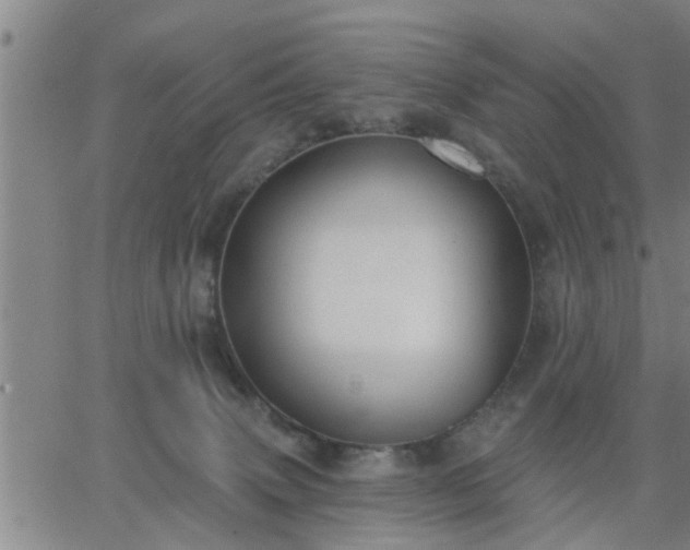 X0000063450083200601271550